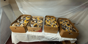 400 Meals Shared With the East Harlem Community